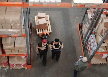 Pallet Collection
