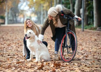 How to Treat Constipation in Dogs