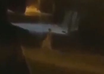 A woman disguised as the ghost 'La Llorona' walked the streets and was shot by frightened neighbours