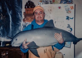 Vaquitas Could Soon Be Extinct. Mexico Will Largely Determine Their Fate.