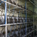 Crypto Mining Saves A Hydro Power Plant In Costa Rica
