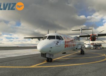 Microsoft Flight Simulator