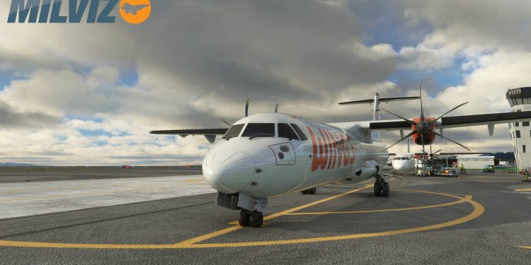 Microsoft Flight Simulator