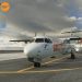 Microsoft Flight Simulator