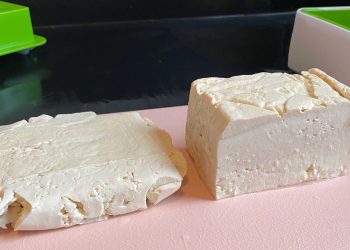 Tofuture Tofu Press Review | Kitchn