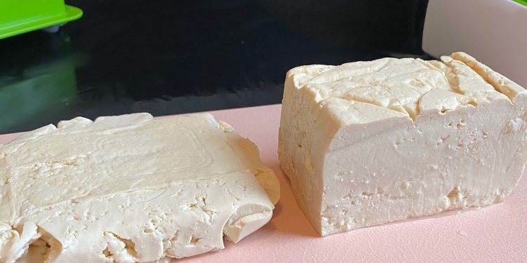 Tofuture Tofu Press Review | Kitchn