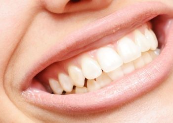 How Many Teeth Do Humans Have?