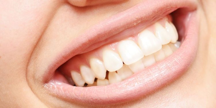 How Many Teeth Do Humans Have?