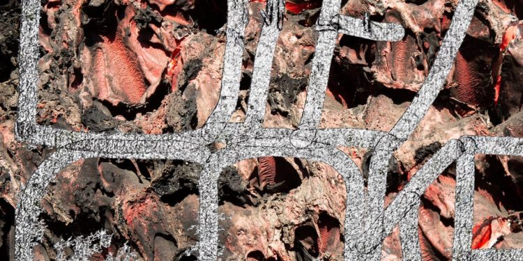 Image may contain Brick Rug and Rust