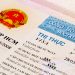 A Vietnam tourist visa in a passport