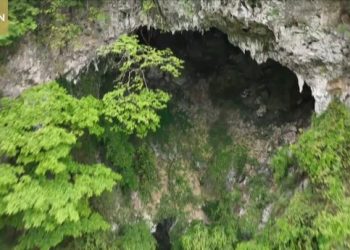 Huge ancient forest world discovered 630ft down sinkhole in China by explorers