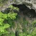 Huge ancient forest world discovered 630ft down sinkhole in China by explorers