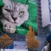 Samsung showcases 200-megapixel camera sensor with a giant cat billboard