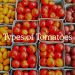 common types of tomatoes