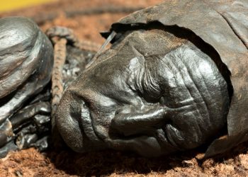 7 famous mummies and secrets they've revealed about the ancient world