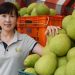 China flexes military muscles, then targets Taiwan's citrus fruits