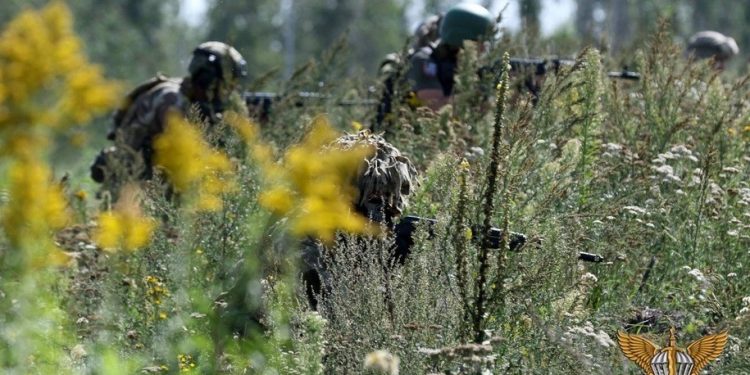 Taking stock of Ukraine's advances ... and Russia's losses