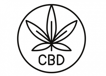 What You Need To Know About CBD Oil and Anxiety