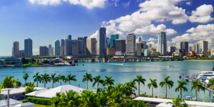 Miami Captions for Instagram